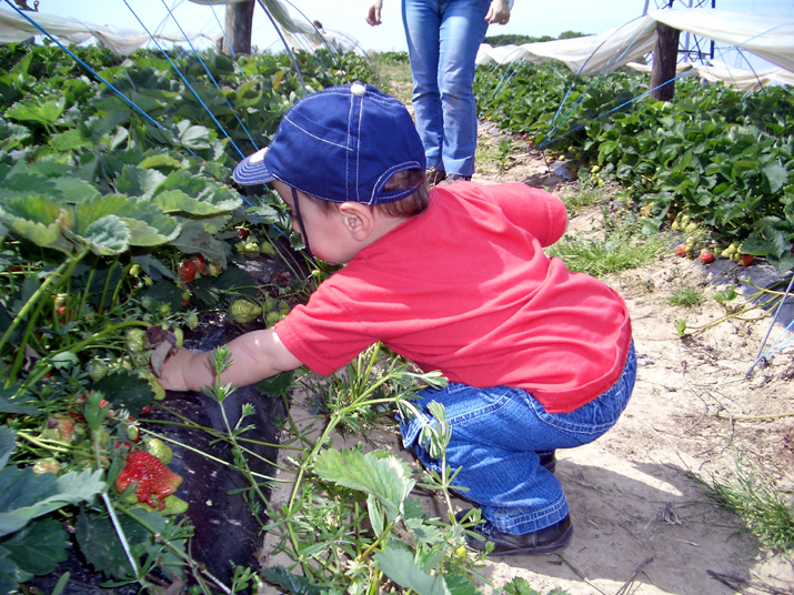 2004-05 Villetain 019.JPG